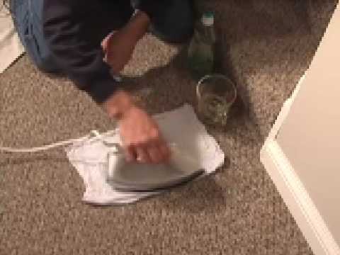 Carpet Stain Cleaning Tip Edmonds WA