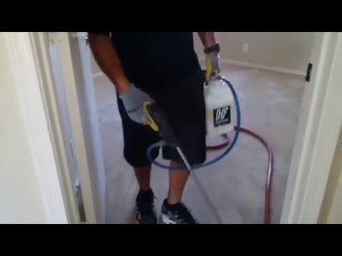 How To Professional Carpet Cleaning Dirty Carpets WA