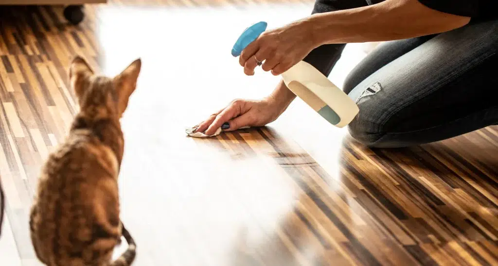 Pet-Friendly Household Cleaning