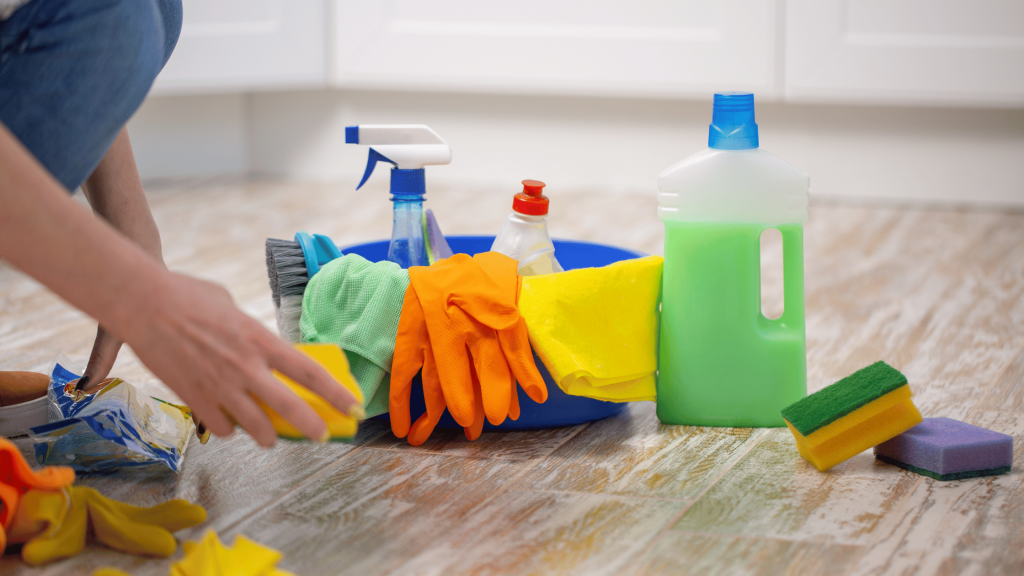 Spring Cleaning Services