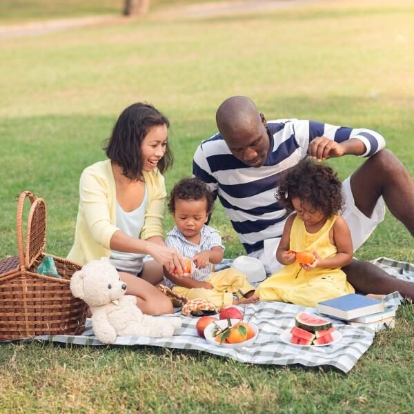 A mother, father, and two young children enjoying a picnic on the grass at a park.